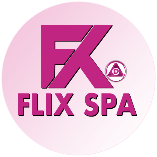 COMERCIAL FLIX S.P.A