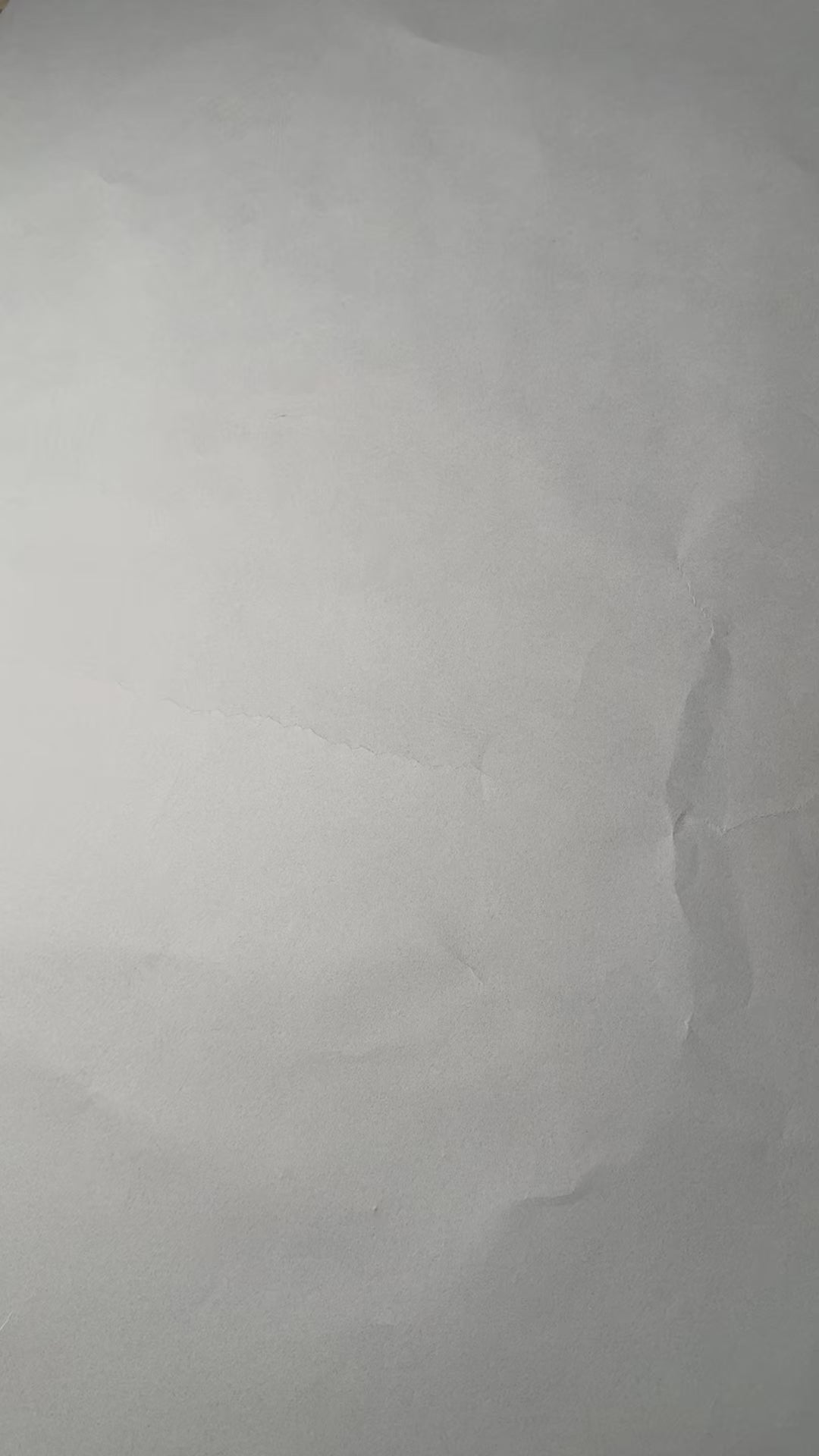 Conjunto Corto Levanta cola Mujer Push up - YJ141