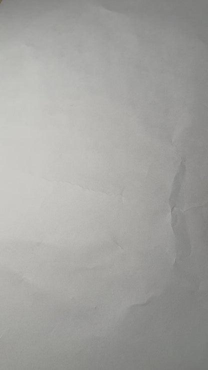 Conjunto Corto Levanta cola Mujer Push up - YJ141